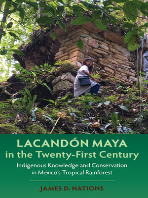 cover image of Lacandón Maya in the Twenty-First Century